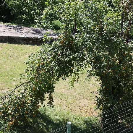 Apartamento Vesna *